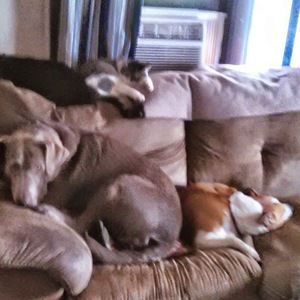 Meet your Posher, Tonya